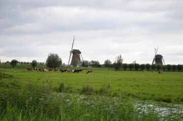 Krajobraz Holandii